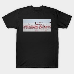 Wading, Dancing & Flying T-Shirt